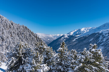 Winterwald im Gebirge