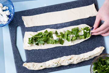 Cheese spinach pie. Salty cake recipe. Step by step. View from above. The girl is cooking. Step 13