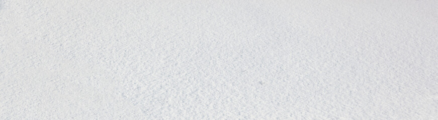 Winter snow in park. Top view of the snow surface