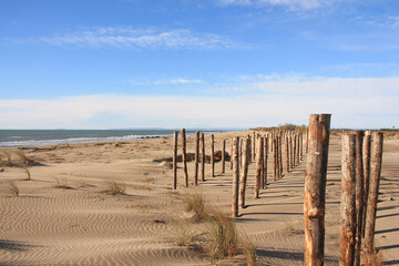 Fototapeta na wymiar Natural and wild beach with a beautiful and vast area of dunes, Camargue region in the South of Montpellier, France