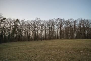 Verschneide Winterlandschaft