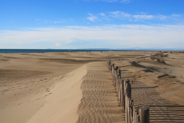 Natural and wild beach with a beautiful and vast area of dunes, Camargue region in the South of Montpellier, France