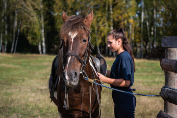 Obraz premium The process of saddling a horse is demonstrated by a young instructor a girl in equestrian sports.