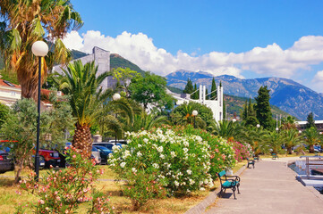 Sunny mediterranean landscape, summer vacation concept. Montenegro, Tivat city