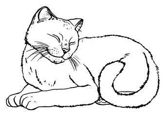 beautiful striped cute cat sitting and smiling, contoured black and white hand drawing, pet store logo logo isolated on white background