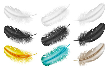 Realistic feathers: white, black and colorful 3d plumes from bird wings isolated on white background