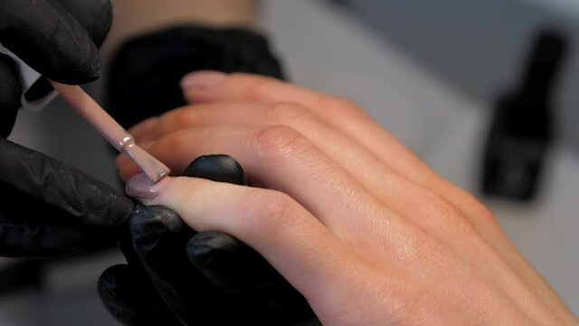 Experienced manicurist applies new layer of gel on young woman fingernail in beauty salon close view. Concept fashion