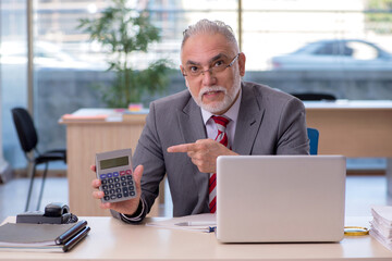 Aged businessman employee working in the office