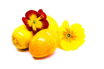 Gelbe Ostereier mit Blüten freigestellt