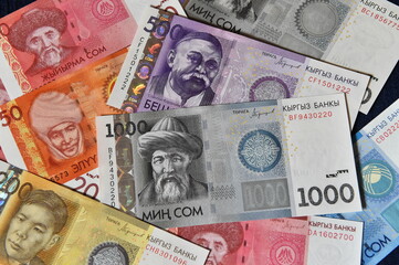 dinero de kirguistan