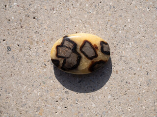 Septaria mineral stone on concrete surface.