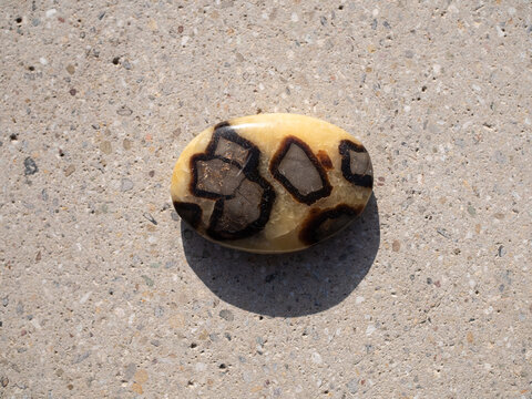 Septaria mineral stone on concrete surface.