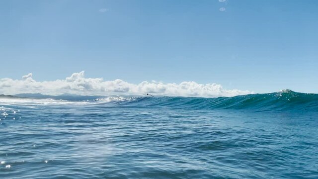 Pelican flying by a wave Costa Rica view from the ocean sunny day 