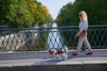 young blonde woman in light casual clothes walks with a Cavalier King Charles Spaniel dog in the...
