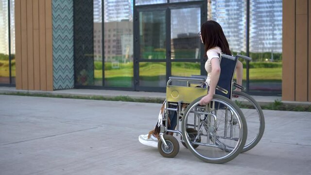 Young woman in a wheelchair. A girl rides