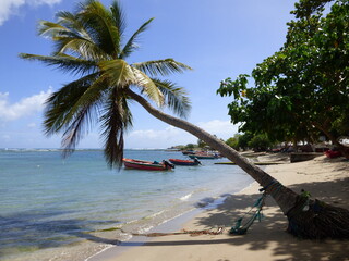 Bateaux de Pêche plage de la Trinité Martinique