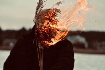 fire in the forest