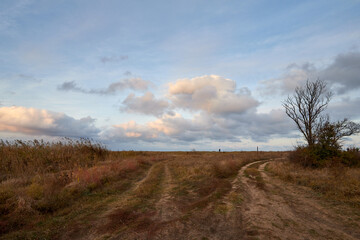 Two dirt roads leading in different directions in the field, with picturesque clouds in the autumn, Bulgaria