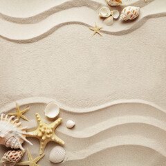 summer concept: sandy beach background with seashells. copy space for text - obrazy, fototapety, plakaty