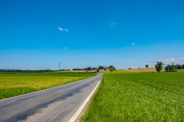 Country road through green fields