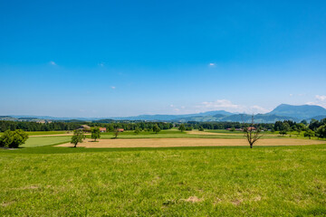 Meadow landscape with mountains and blue sky