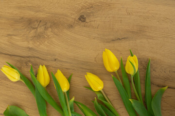 yellow tulips on an oak board, beautiful spring flowers lie on a cudgel background, view from above
