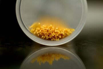 raw spaghetti reflection, noodles with reflection, tip of noodles with blurred background and reflection
