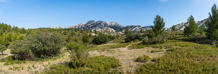Les collines de garrigue avec les montagnes des Alpilles au fond