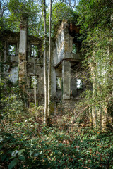 les ruines d'un bâtiment laissée à l'abandon au milieu d'une végétation dense 