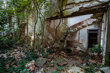 Fototapeta na wymiar l'intérieur d'un bâtiment en ruine avec les restes d'un escalier, envahi de végétation