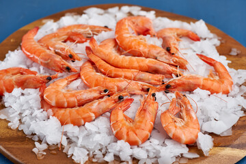 Raw red shrimps on ice