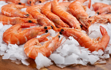 Raw red shrimps on ice