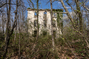 La façade d'un bâtiment abandonné dans des bois