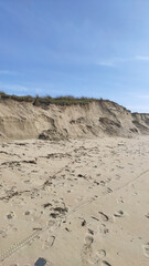 Fototapeta na wymiar Post-storm eroded dune in Esposende, Portugal. Sand loss from a dune under wave attack.