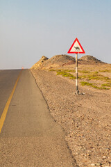 Camel crossing sign on a highway in Oman.