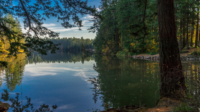 LaCamas Creek Loop and Lake, Camas, Washington