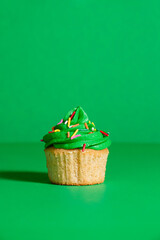 Green frosted vanilla cupcake with rainbow sprinkles on a green background