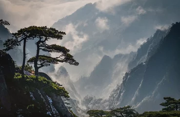 Zelfklevend Fotobehang Huangshan View of the clouds and the pine tree at the mountain peaks of Huangshan National park, China.