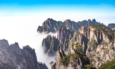 Keuken foto achterwand Huangshan View of the clouds and the pine tree at the mountain peaks of Huangshan National park, China. Landscape of Mount Huangshan of the winter season.