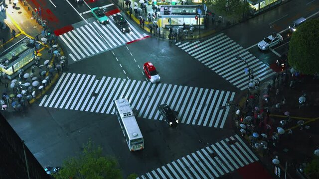 Cars passing pedestrian scramble crosswalk at night in Shibuya, Tokyo. People with umbrellas waiting to cross the street
