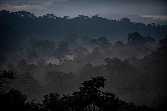 Leuser Ecosystem