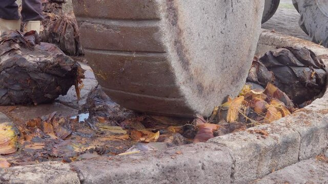 Elaboraci&oacute;n de Mezcal, pi&ntilde;a de agave , San Luis Potosi, Mexico