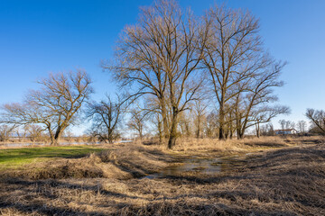 Landschaft an der Donau im Frühling | Niederbayern | Straubing