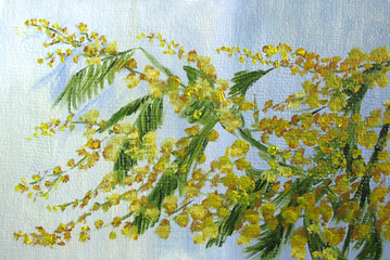 yellow mimosa on a background of blue sky, oil painting