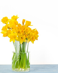 Daffodils bouquet close up in glass vase on white background with copy space