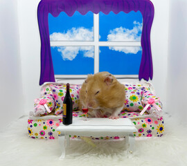 Hamster Testing the Bouquet of His Wine