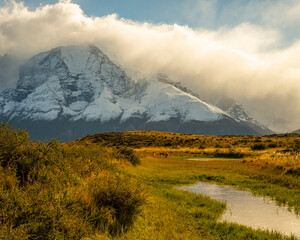 Golden grassy meadow in front of Mountain Range of Torres del Paine on Fall day