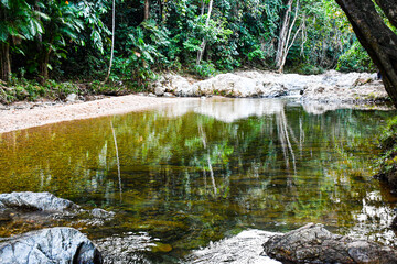 Bosque, agua, naturaleza