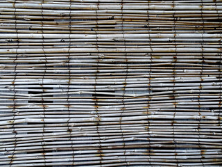 natural background, fence of bamboo trunks, selective focus