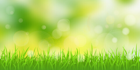 Fototapeta na wymiar Vector spring illustration, grass and blurry background. Bokeh effect, sunny morning.